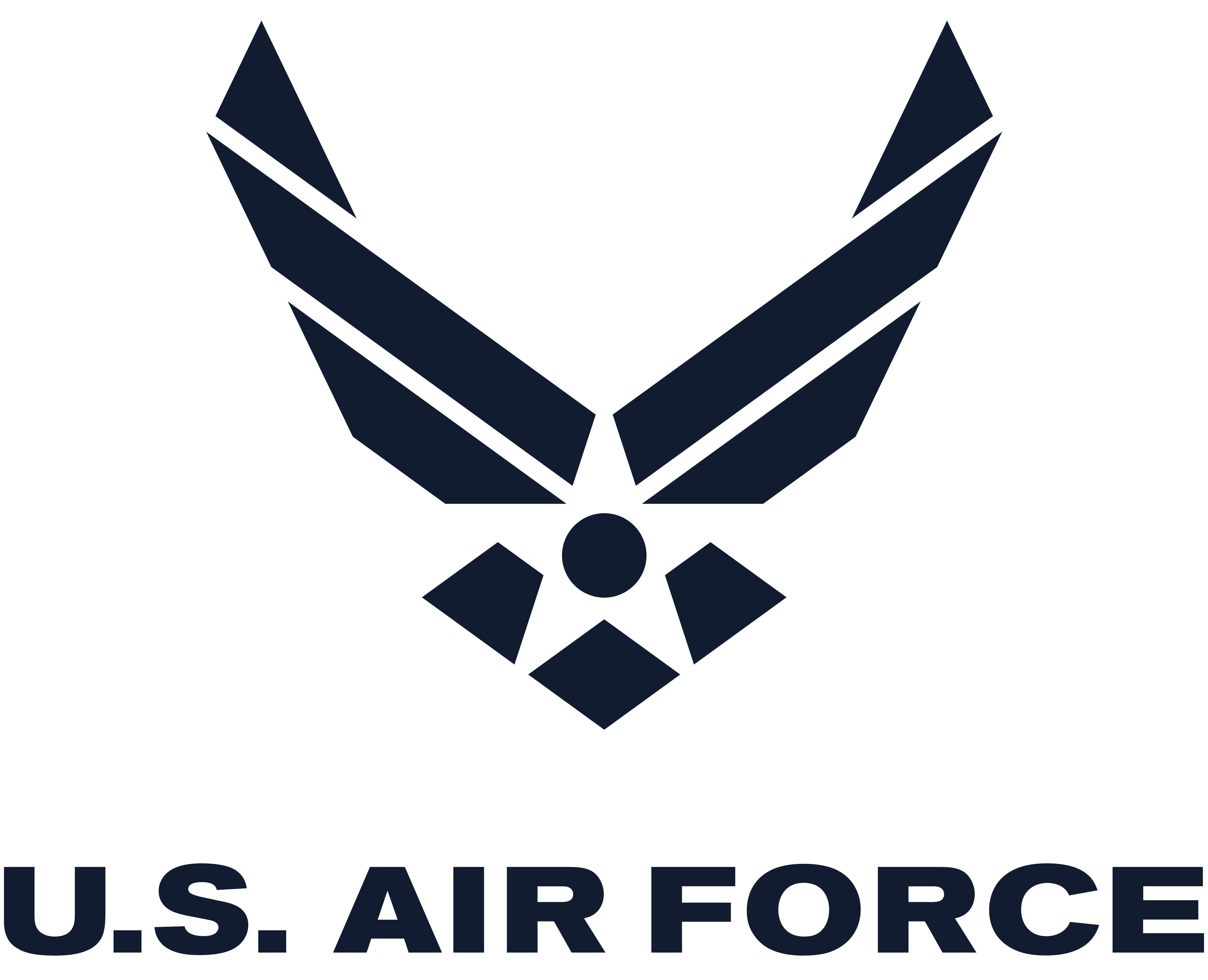 US Air Force 313th Recruiting Squadron